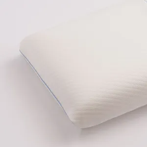 Biofoam Conforming Tencel Pillow