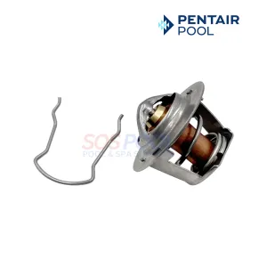 Pentair Thermal Regulator For MasterTemp 125 Heaters | 474989